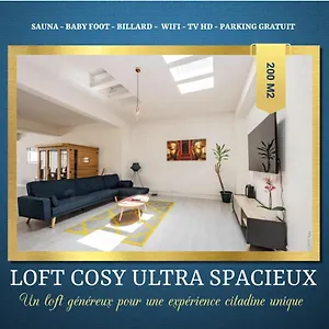Appartement Loft Cosy - Hypercentre - Sauna - 200m2 - Wifi, Graulhet
